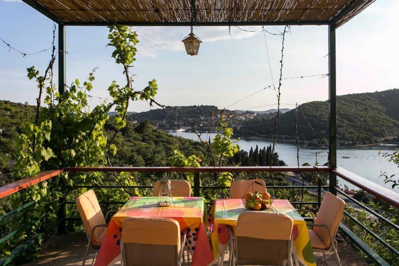 Bodul Vacation Apartment Zaton  Eksteriør bilde