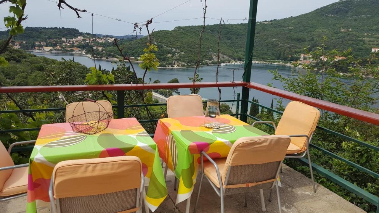 Bodul Vacation Apartment Zaton  Eksteriør bilde