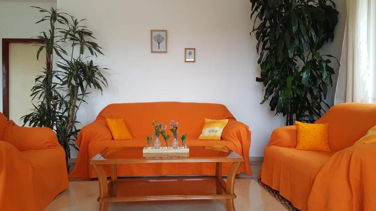 Bodul Vacation Apartment Zaton  Eksteriør bilde